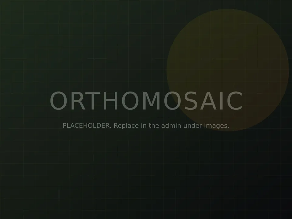 Orthomosaic maps